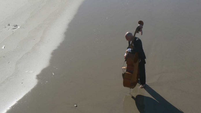 Beach With Cello by Aliza Abusch-Magder
