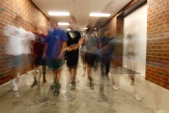 College Scandal by Dina Barish - Photo by Auden Yurman