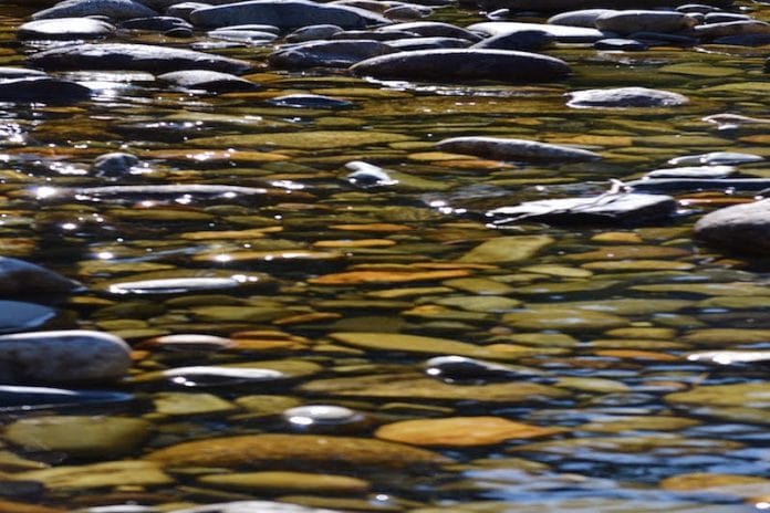 The Calmer of Two Tempests by Aydia Caplan - Photo by Elise Anstey