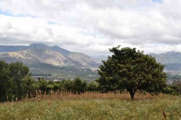 My Name is Tari, and I Speak for the Trees by Tari Civerolo - Photo by Elise Antsey