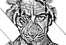 Split by Sarah Solon