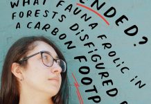 Elevating Unheard Voices by Elizabeth Shvarts