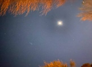 My Tivnu Gap Year on the Pale Blue Dot by Aliza Saunders - Photo by Molly Voit