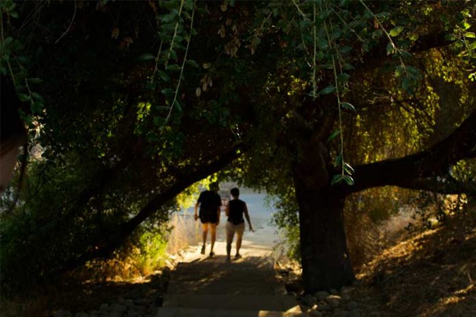 “A Tale as Old as Time”—The Fairy Tale of My People by Lily Sheldon - Photo by Danielle Deculus