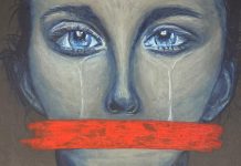 Silenced by Leah Schutz