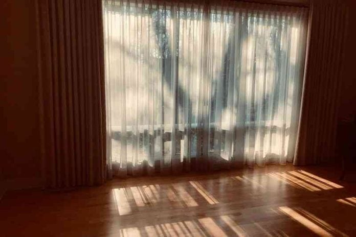 Shadows-by-Hannah-Rubenstein.jpg