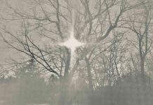 Stars and Scars by Sarah Jean - photo by Hannah Rubenstein