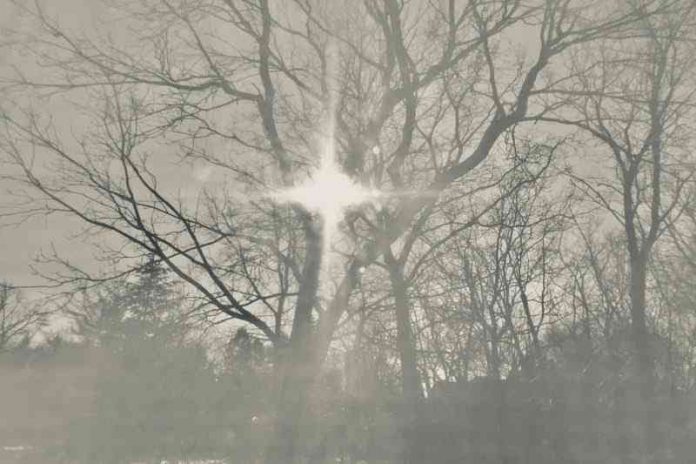 Stars and Scars by Sarah Jean - photo by Hannah Rubenstein