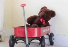 Teddy Bear taken by Maddie Renert for 7 Carol Street by Thea Katz