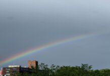 A bright rainbow over a building and tree