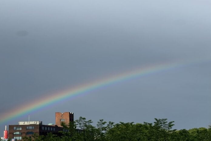 A bright rainbow over a building and tree