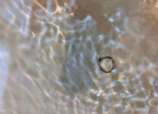Close-up of a small silver ring in shallow water with sunlight creating wavy ripples across the water's surface