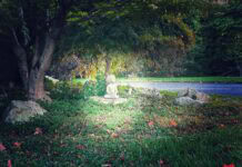 A soft halo of light surrounds a small statue of a child in a lush garden.